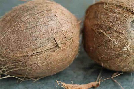 Raw Coconut Oil Production Methods