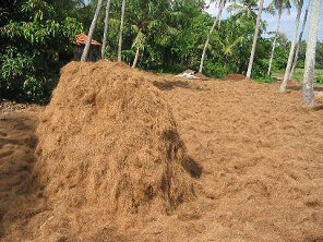  What is Coir