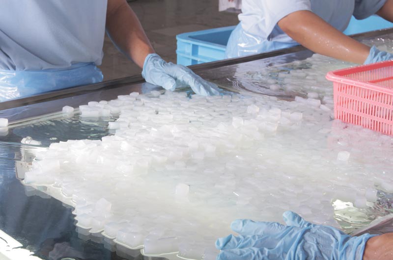 We are Nata De Coco