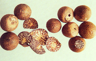 Areca seed wine / Betel nut wine
