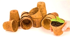Coco Pots