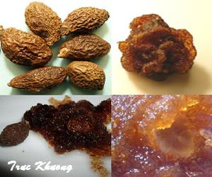 What is malva?