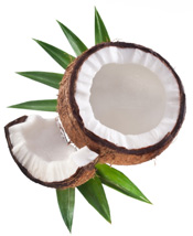 List of Natural Foods Containing Lauric Acid