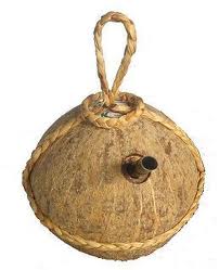 Technology of production and preservation of coconut wine Neera