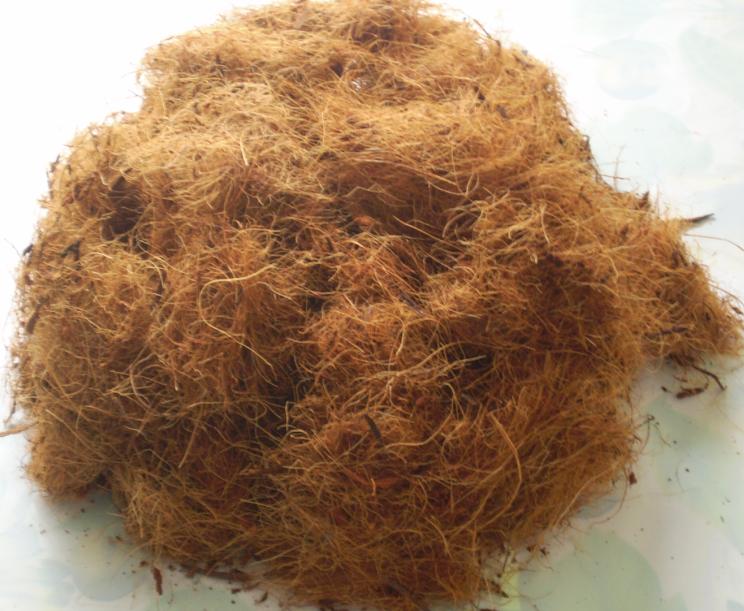 Market Analysis coconut fiber