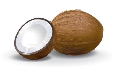 What Are the Health Benefits of Desiccated Coconut?