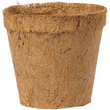 Is plastic better than pulp containers for nursery plants?