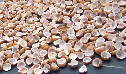 Uses of Coconut Copra as a Commercial Product
