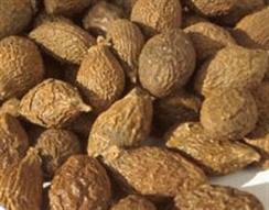 Malva nut