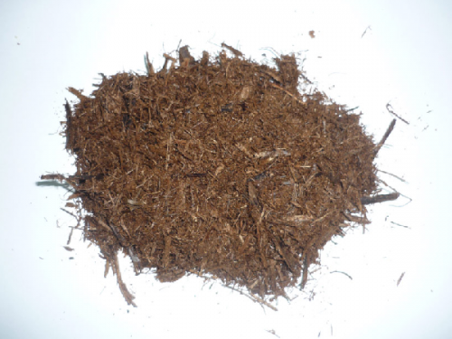 Production and application of activated carbon from sugarcane bagasse