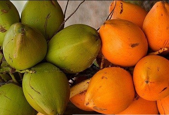 Benefits of Natural King Coconut Water