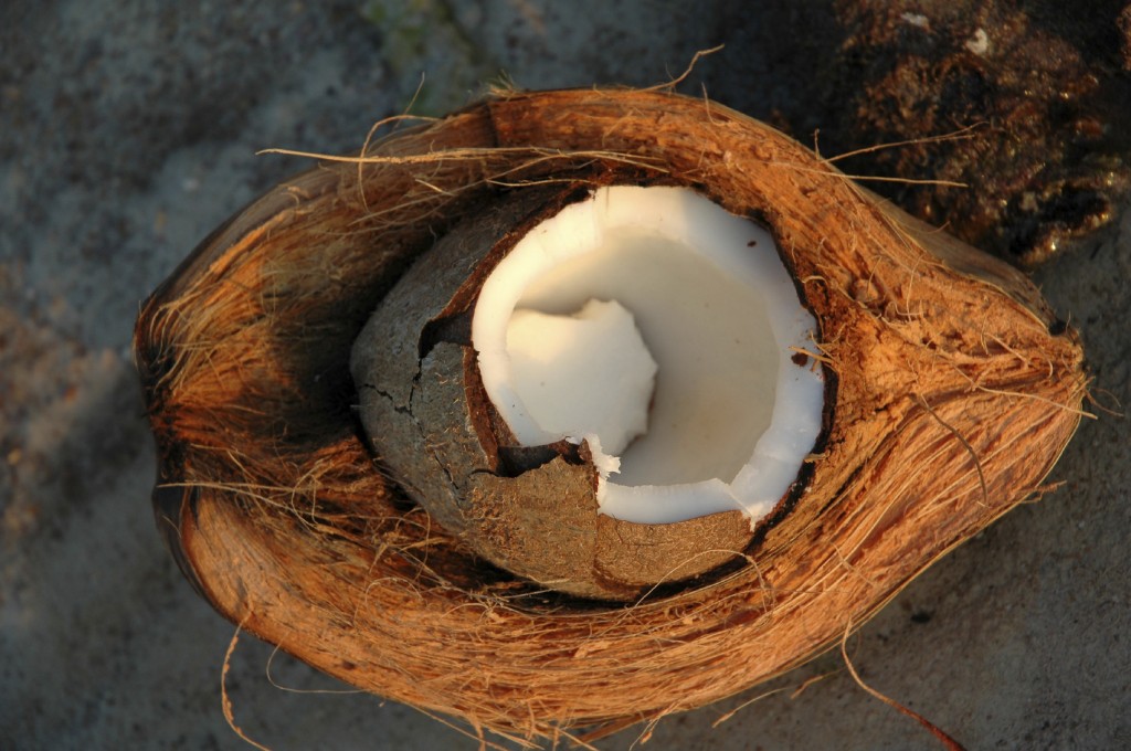 Benefits of Coco coir