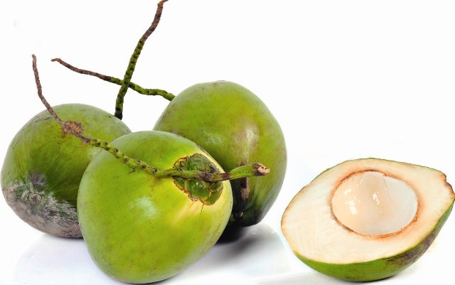 Coconut prices