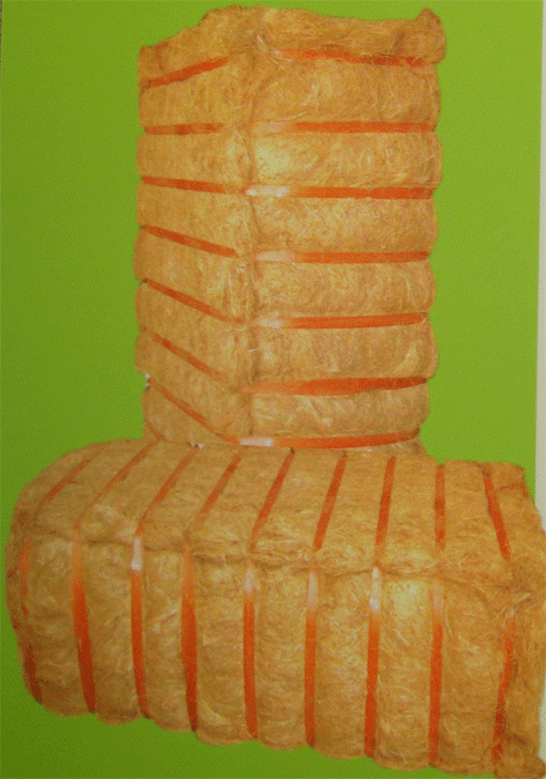 The process of extracting coconut fiber only new development in India 