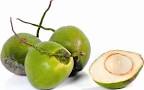 Coconut Benefits