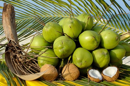 Dried coconut