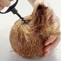 The health benefits of... coconut milk
