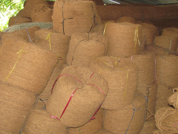 Processing of coconut fiber ropes do not harm the environment