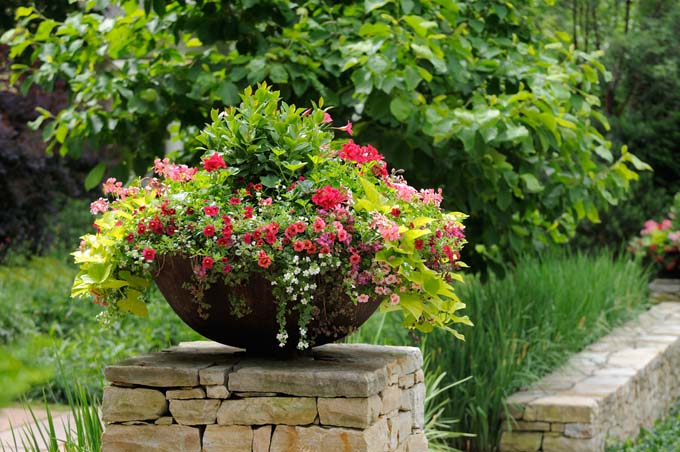 PLANT CONTAINERS, POTS, AND PLANTERS – WHAT MATERIAL IS THE BEST?
