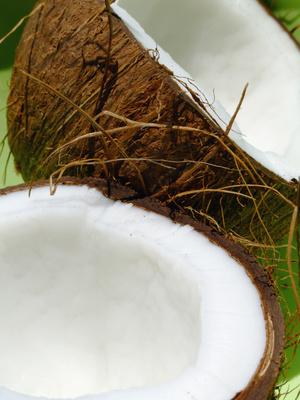 Is Coconut High in Cholesterol?