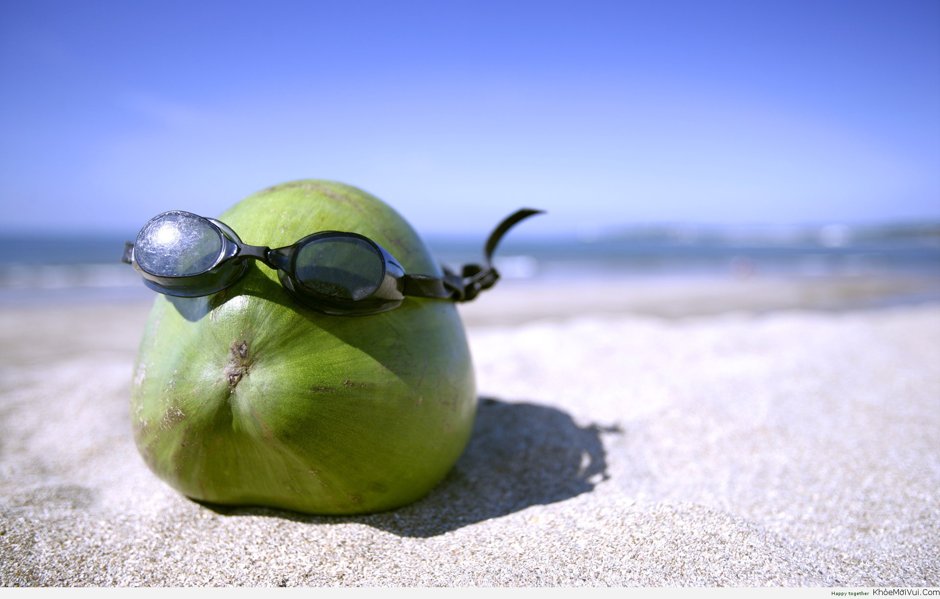 The Truth About Coconut Water