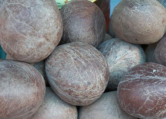 Coconut product