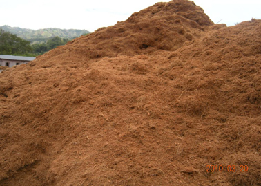 WHAT IS COCO PEAT?