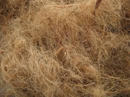 Use coconut fiber for wastewater treatment
