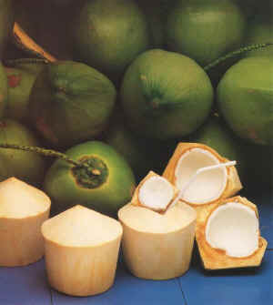 COCONUTS BENEFITS
