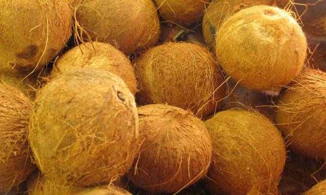 Copra prices from Tien Giang increased continuously