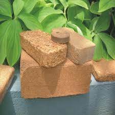 Coco Peat! It can't be beat!